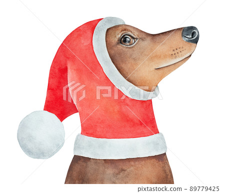 Dog with red hat hotsell