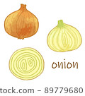 Watercolor style onion vector illustration material 89779680