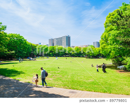 郊區住宅區 假日公園 郊區住宅區 假日公園 89779801