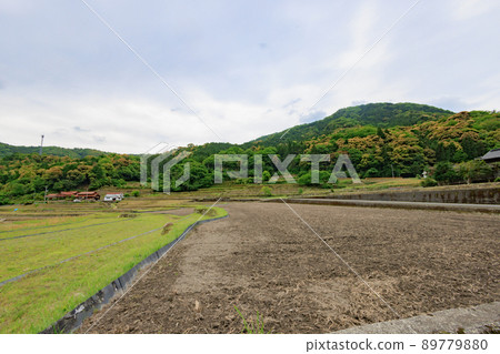 Rice terraces 2022 Rice terraces 2022 89779880