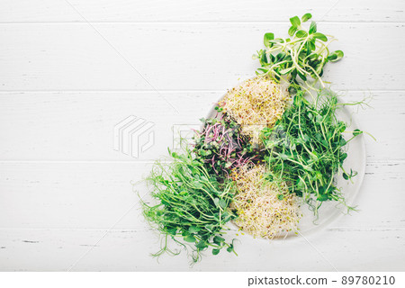 A set of different micro-greenery in a plant on a white table. 89780210
