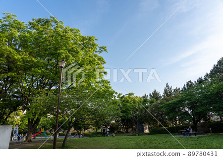  park 89780431