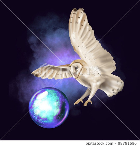 Watercolor flying owl barn owl. A realistic illustration of an owl. Barn owl with a magic ball 89781686
