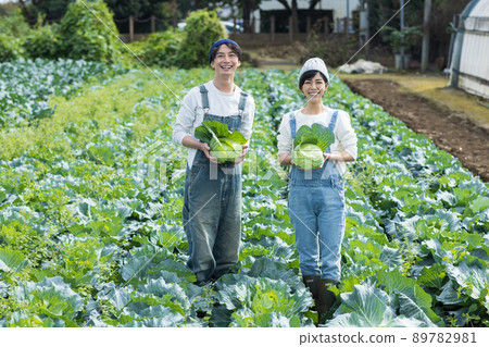 Young men and women enjoying the harvest of cabbage 89782981