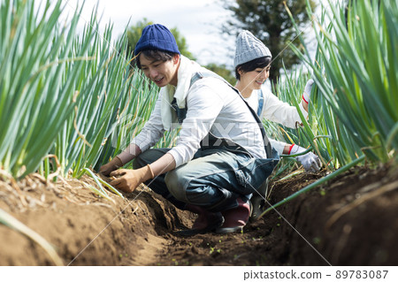 享受田間工作的年輕男女 89783087