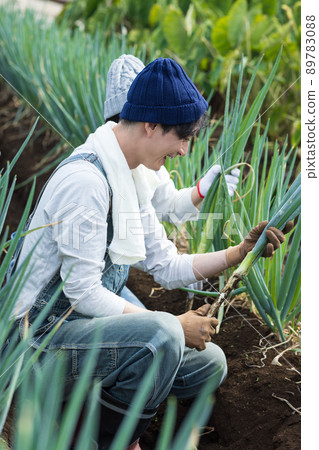 享受田間工作的年輕男女 89783088