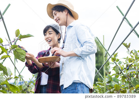 Young men and women harvesting vegetables Young men and women harvesting vegetables 89783389