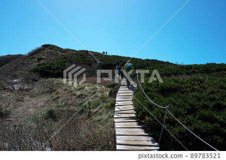 [100 Famous Mountains of Japan] A wooden path to the top of Mt. Daisen and a forest of Daisen Carabok in early summer, Daisen Town, Saihaku District, Tottori Prefecture 89783521