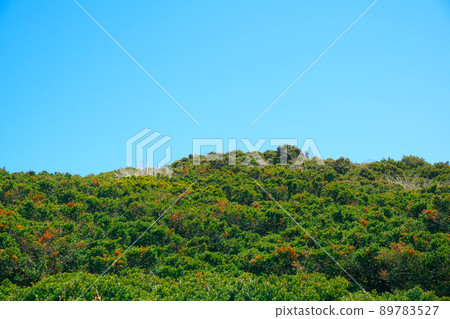 【日本100名名山】鳥取縣西白區大山大山町山頂附近初夏的大山卡拉布林 【日本100名名山】鳥取縣西白區大山大山町山頂附近初夏的大山卡拉布林 89783527