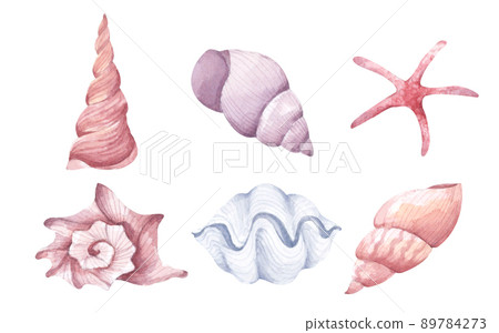 Collection of seashells. Isolated on white background. Watercolor illustration. Collection of seashells. Isolated on white background. Watercolor illustration. 89784273
