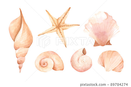 Collection of seashells. Isolated on white background. Watercolor illustration. Collection of seashells. Isolated on white background. Watercolor illustration. 89784274