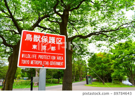 Wildlife Sanctuary 89784643