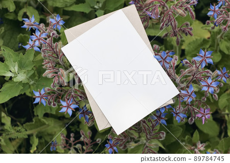 Floral stationery still life scene. Blank greeting card mock-up with blooming blue borage plants. Top view, selective focus. Blurred background. Gardening concept, Fresh herbs, vegetable. Floral stationery still life scene. Blank greeting card mock-up with blooming blue borage plants. Top view, selective focus. Blurred background. Gardening concept, Fresh herbs, vegetable. 89784745