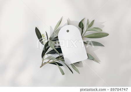 Blank round gift tag, price label mock-up scene with blooming green olive tree leaves, branch isolated on white table background in sunlight. Ligts and shadows. Summer Mediterranean flat lay, top view Blank round gift tag, price label mock-up scene with blooming green olive tree leaves, branch isolated on white table background in sunlight. Ligts and shadows. Summer Mediterranean flat lay, top view 89784747