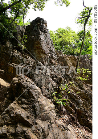 日和田山的岩石地帶 89785088
