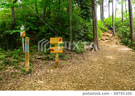 Hiwada山。 89785100