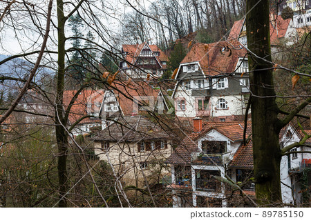 Königstur 的一條林道通往德國海德堡的城堡,周圍散落著私人住宅。 Königstur 的一條林道通往德國海德堡的城堡,周圍散落著私人住宅。 89785150