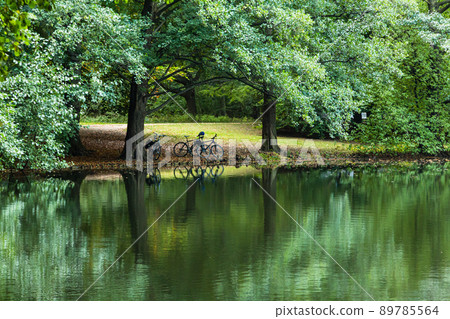 Lake Neuer in Tiergarten, Berlin, Germany Lake Neuer in Tiergarten, Berlin, Germany 89785564