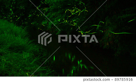 Torikawa Firefly Village where the light of fireflies dances 89785916