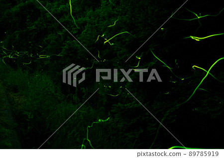 Torikawa Firefly Village where the light of fireflies dances Torikawa Firefly Village where the light of fireflies dances 89785919