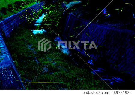 Torikawa Firefly Village where the light of fireflies dances 89785923