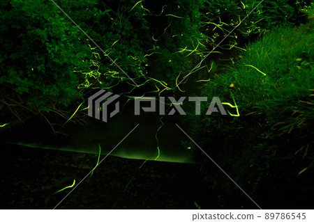 Torikawa Firefly Village where the light of fireflies dances 89786545