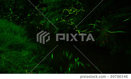 Torikawa Firefly Village where the light of fireflies dances 89786546