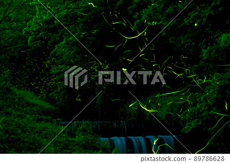 螢火蟲之光翩翩起舞的鳥川螢火蟲村 89786628