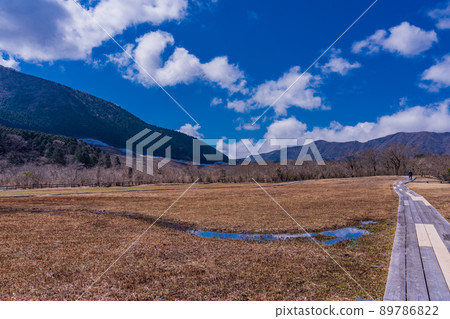 （神奈川縣）箱根植物園仙石原濕地植被恢復區 89786822