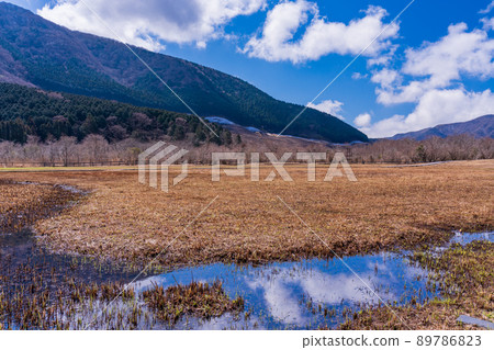 (Kanagawa Prefecture) Hakone Botanical Garden Sengokuhara Wetland Vegetation Restoration Area 89786823