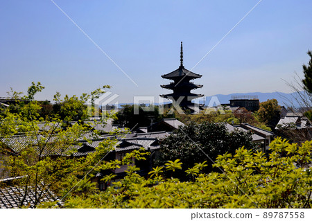 Fresh green and Yasaka tower Fresh green and Yasaka tower 89787558