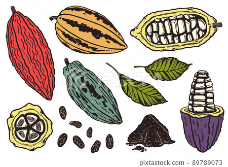 Cocoa set. Vector illustration. Beans, cocoa powder, cocoa fruit with grains and leaves Cocoa set. Vector illustration. Beans, cocoa powder, cocoa fruit with grains and leaves 89789073