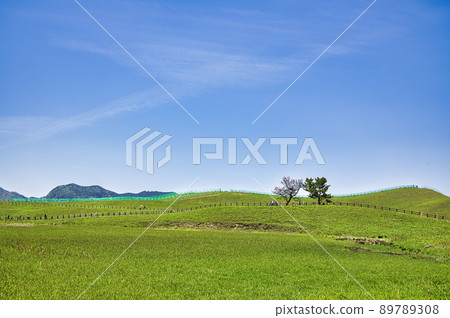 H高原 H高原 89789308