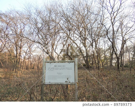 Sugayakan Ruins South Guo Sugayakan Ruins South Guo 89789373