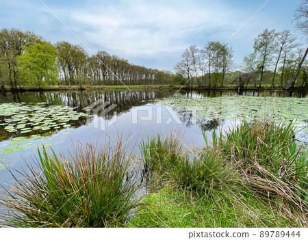 dutch landscape on a cloudy day in spring dutch landscape on a cloudy day in spring 89789444