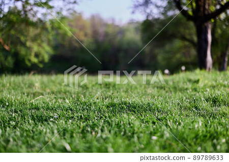 Green grass desktop screensaver, ecology and care for the environment 89789633