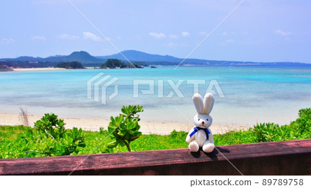 Rabbit plush toy (tropical landscape back) 89789758