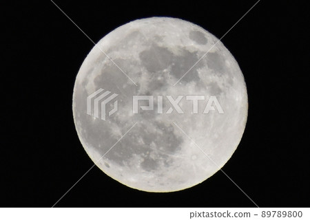 Flower moon Flower moon 89789800