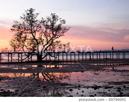 Tree and bridge on the beach before sunset,  Koh Mak, Trad Province, Thailand 89790091
