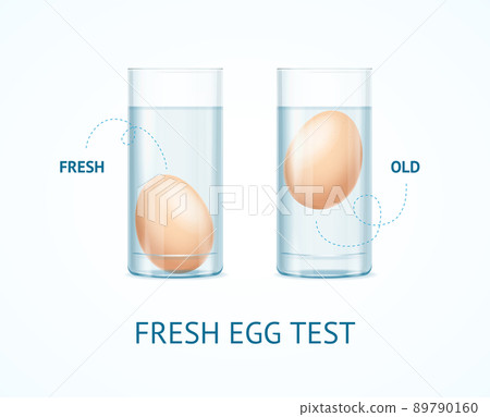 Realistic Detailed 3d Fresh Egg Test Concept. Vector Realistic Detailed 3d Fresh Egg Test Concept. Vector 89790160