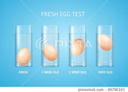 Realistic Detailed 3d Fresh Egg Test Concept. Vector Realistic Detailed 3d Fresh Egg Test Concept. Vector 89790161