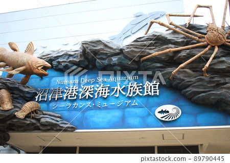 沼津深海魚水族館 89790445