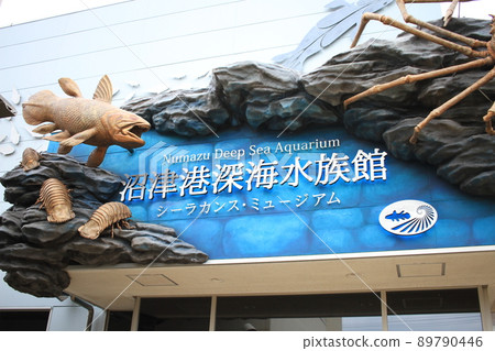 Numazu Deep Sea Fish Aquarium with Coelacanth Exhibition Numazu Deep Sea Fish Aquarium with Coelacanth Exhibition 89790446