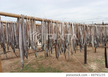 tasty dried and salted fish stock tasty dried and salted fish stock 89791235