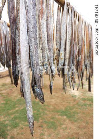 tasty dried and salted fish stock tasty dried and salted fish stock 89791241