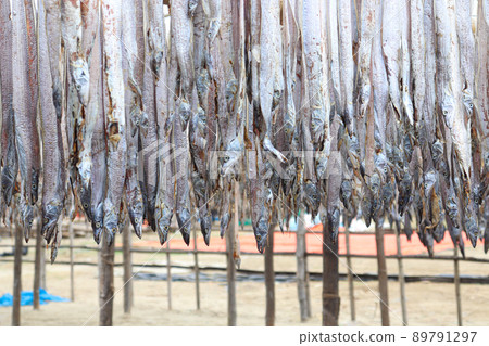 tasty dried and salted fish stock tasty dried and salted fish stock 89791297