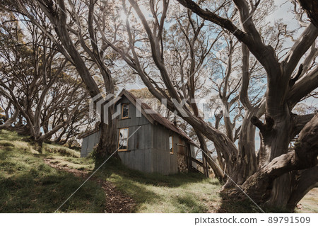 Cope Hut near Falls Creek in Australia 89791509