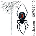 Watercolor Illustration of Black Widow Spider and Web Isolated on White Background. 89791940