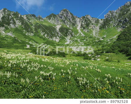 夏季Senjyo Kiki捲髮 89792528