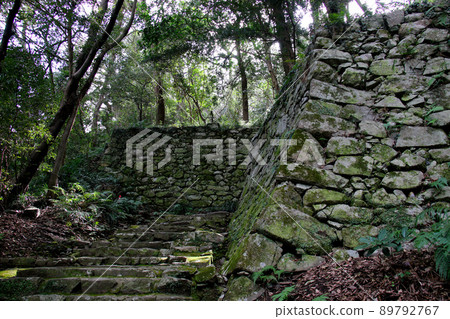 宇和島城跡是愛媛縣宇和島市的歷史遺跡,位於通往天守閣的石階中間 宇和島城跡是愛媛縣宇和島市的歷史遺跡,位於通往天守閣的石階中間 89792767